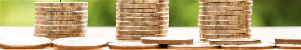 Vollwertig vegan leben mit wenig Geld – Tipps und Tricks!