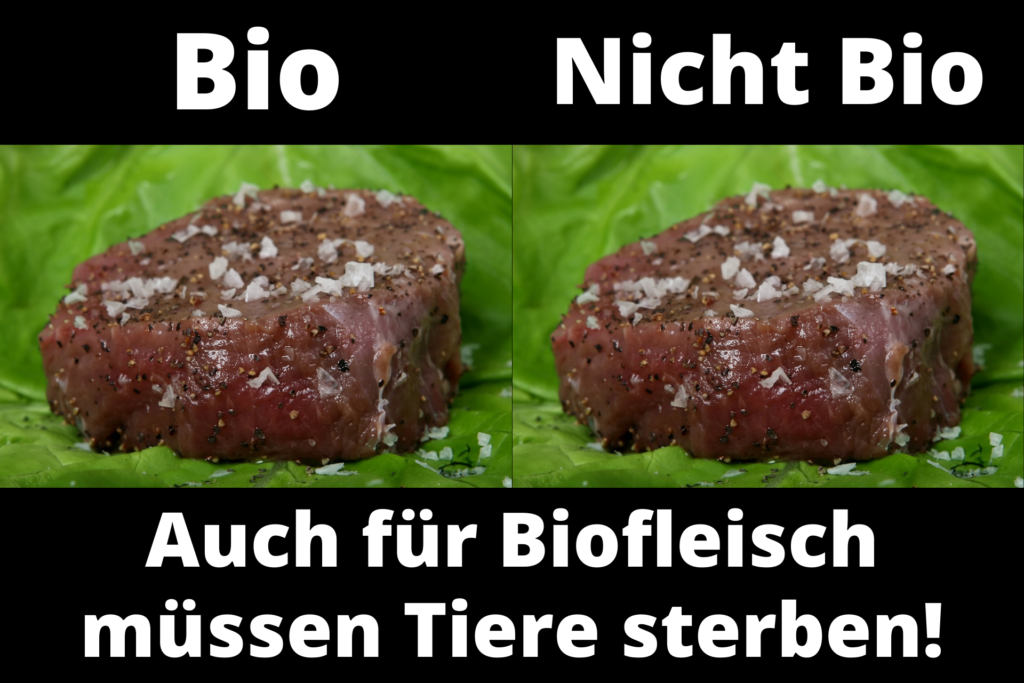 Biofleisch und Tierwohllabel